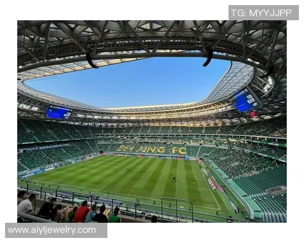 双子星兄弟同场竞技闪耀绿茵足球世界书写传奇篇章